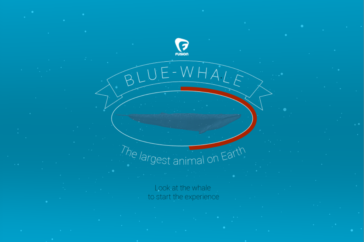 Blue whale VR 1