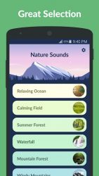 Nature Sounds 1