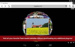 Photon Flash Player & Browser 1